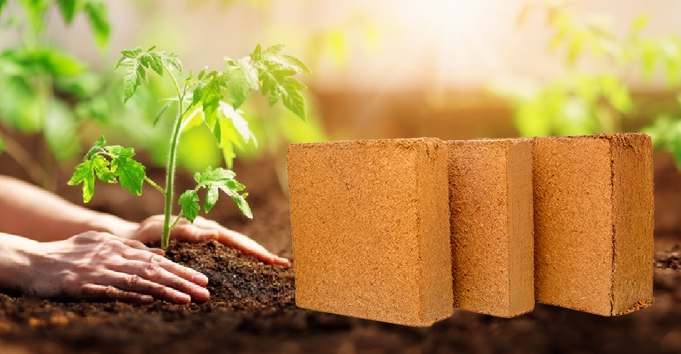 Coco Peat Blocks