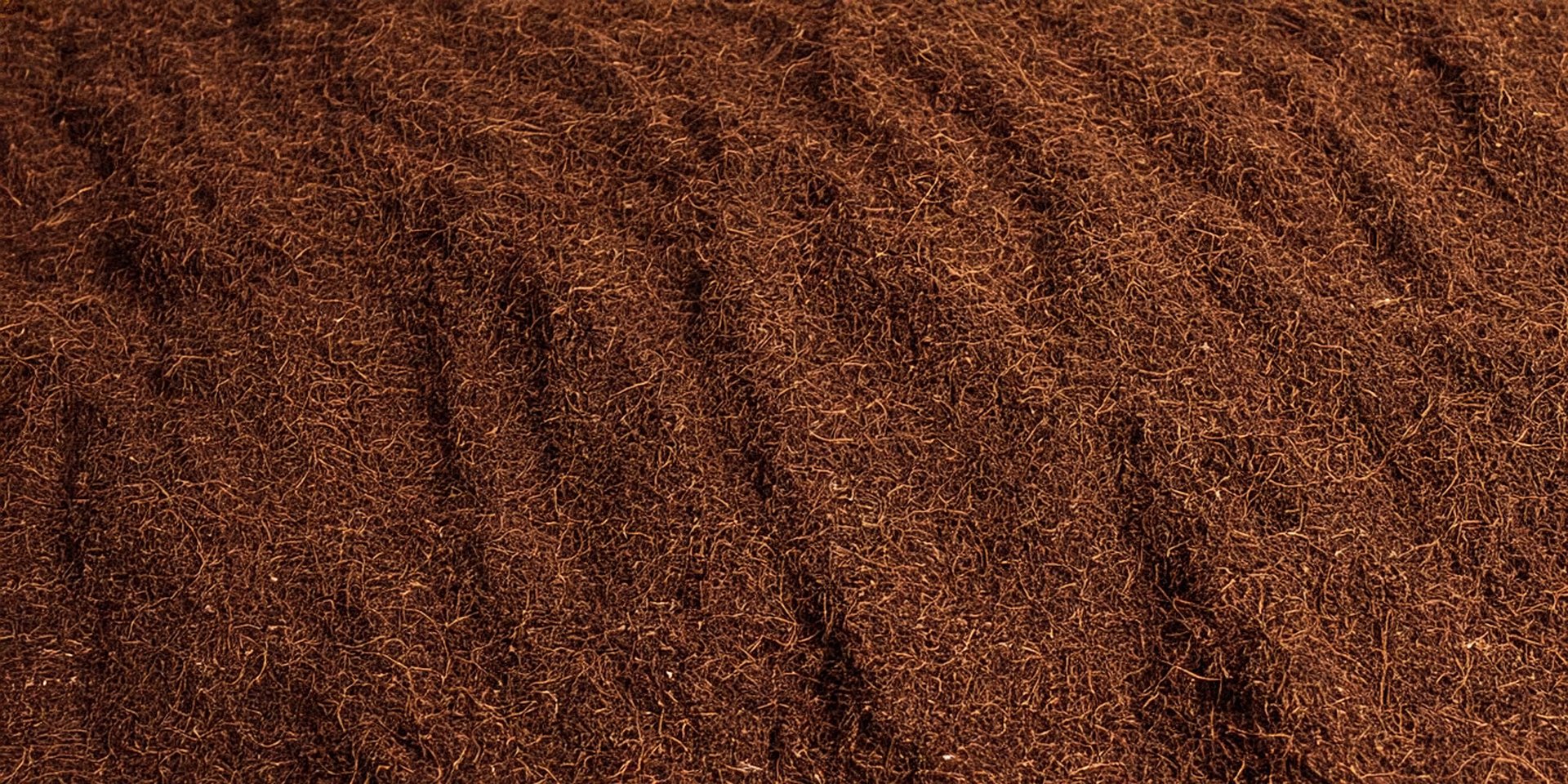 Cocopeat Coir