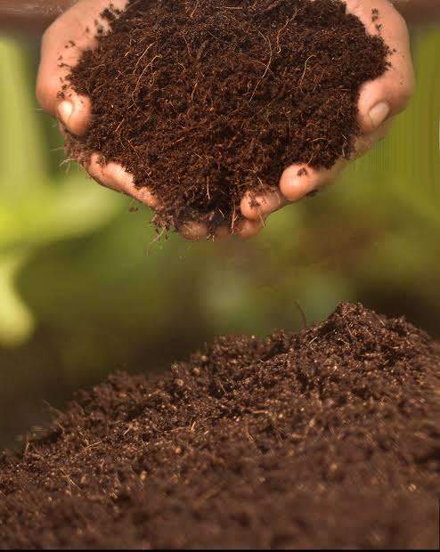 Cocopeat Features