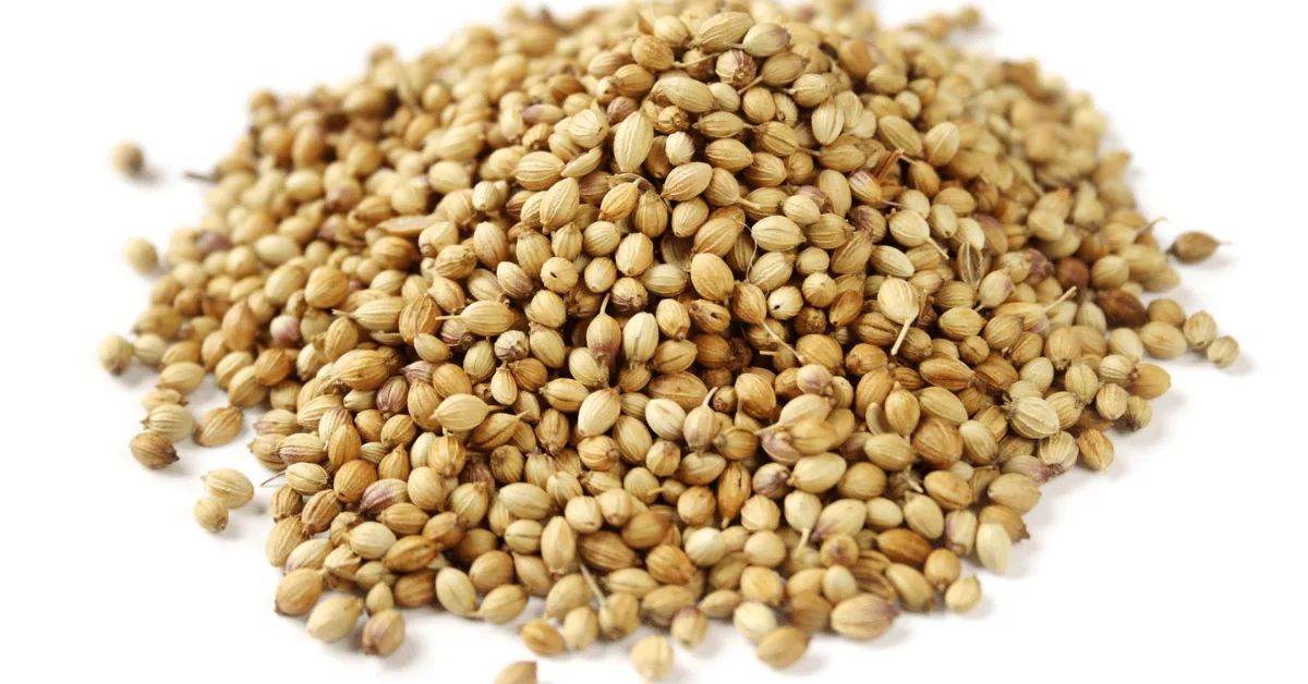 coriander2.jpg