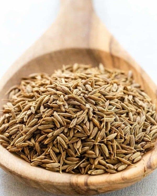 coriander1.jpg